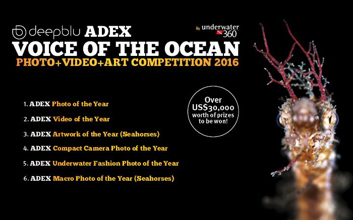 Seven reasons why you should enter ADEX Voice of the Ocean competition 2016
