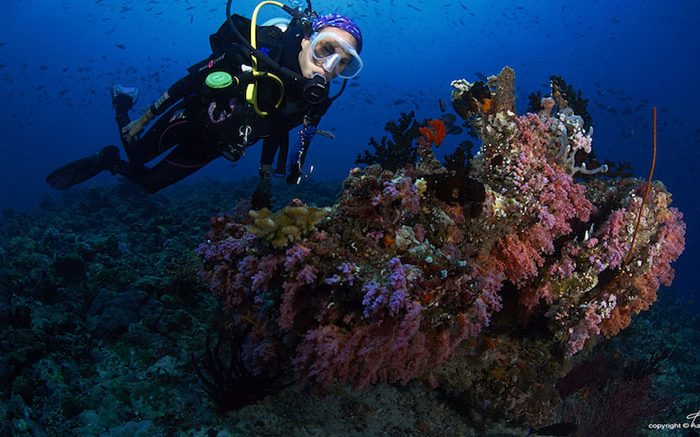 Post-trip report: Scuba Diver in the Maldives with Nadine Chandrawinata