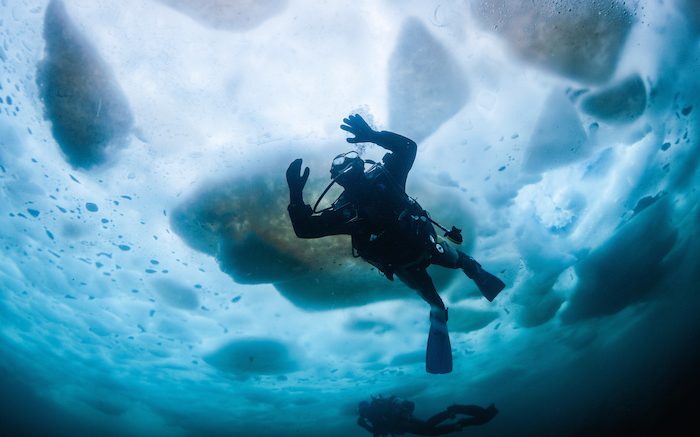 8 of the Best Cold-Water Dive Destinations