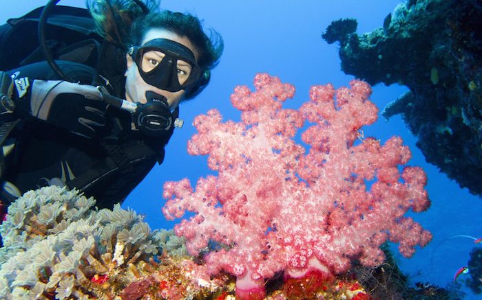 6 Marine Conservation Projects in Asia Pacific That You Should Know About