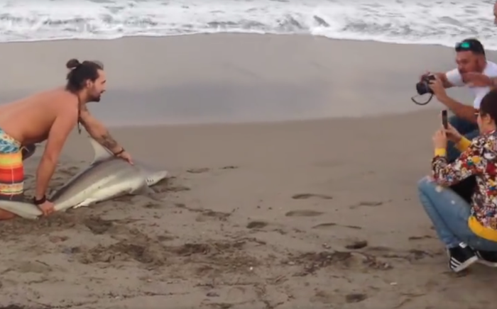 Man Pulls Shark from The Ocean for Selfie, But Why?
