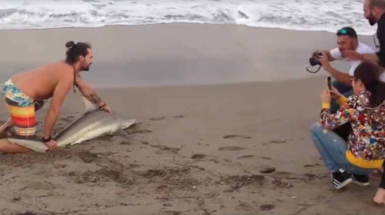 Screen Shot 2016-02-22 at 7.39.32 pm