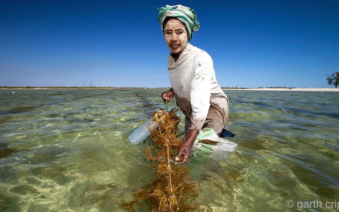 Madagascar: Protecting the Indian Ocean's Underwater Marvels