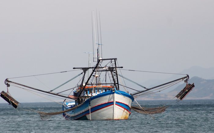 Want to End Illegal Fishing? Make All Ships Trackable, Say Researchers