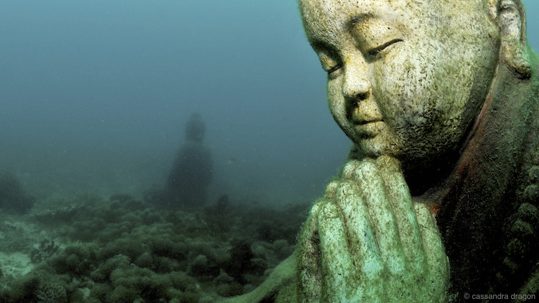 _CAS2218.JPG 170 x 120 landscape copy