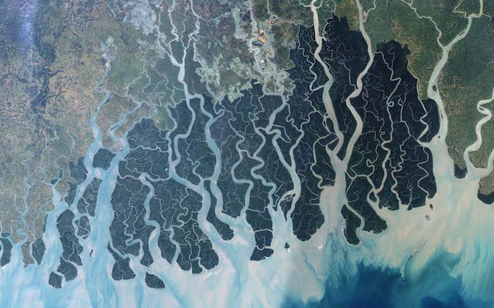 Ship Carrying 1,235 Metric Tons of Coal Sinks in Sundarbans