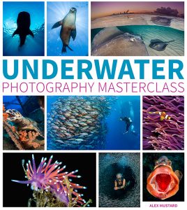 Cover of Underwater Photography Masterclass 