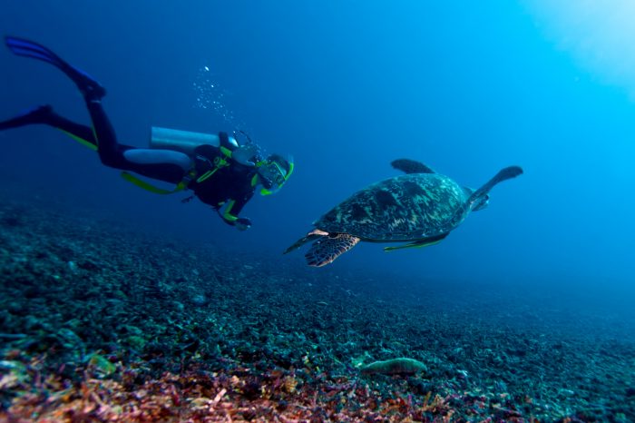 9 Reasons Why You Need to Be Aware When Underwater