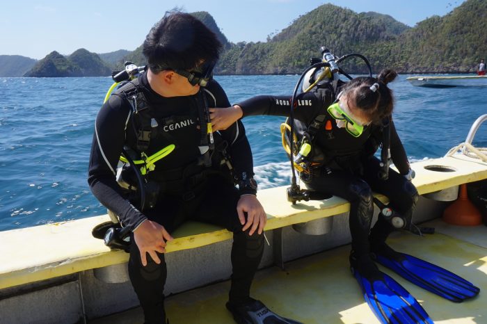 6 Essential Skills To Master When Learning to Dive
