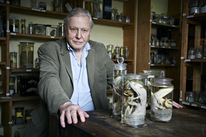 Pioneer of the Week: Sir David Attenborough