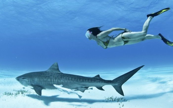 The Woman Who Freedives with Tigers