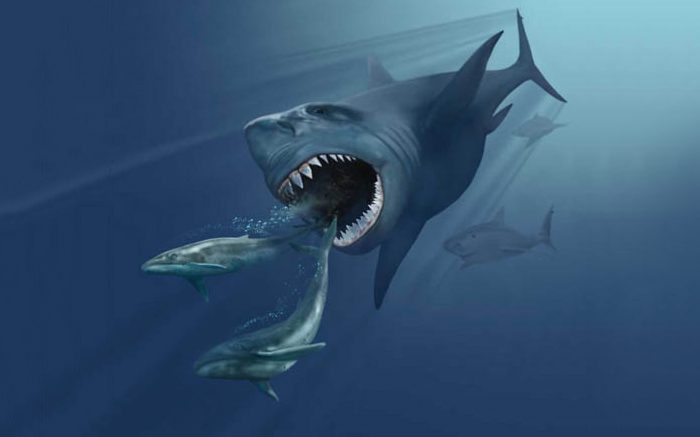 Megalodon: What We Know So Far