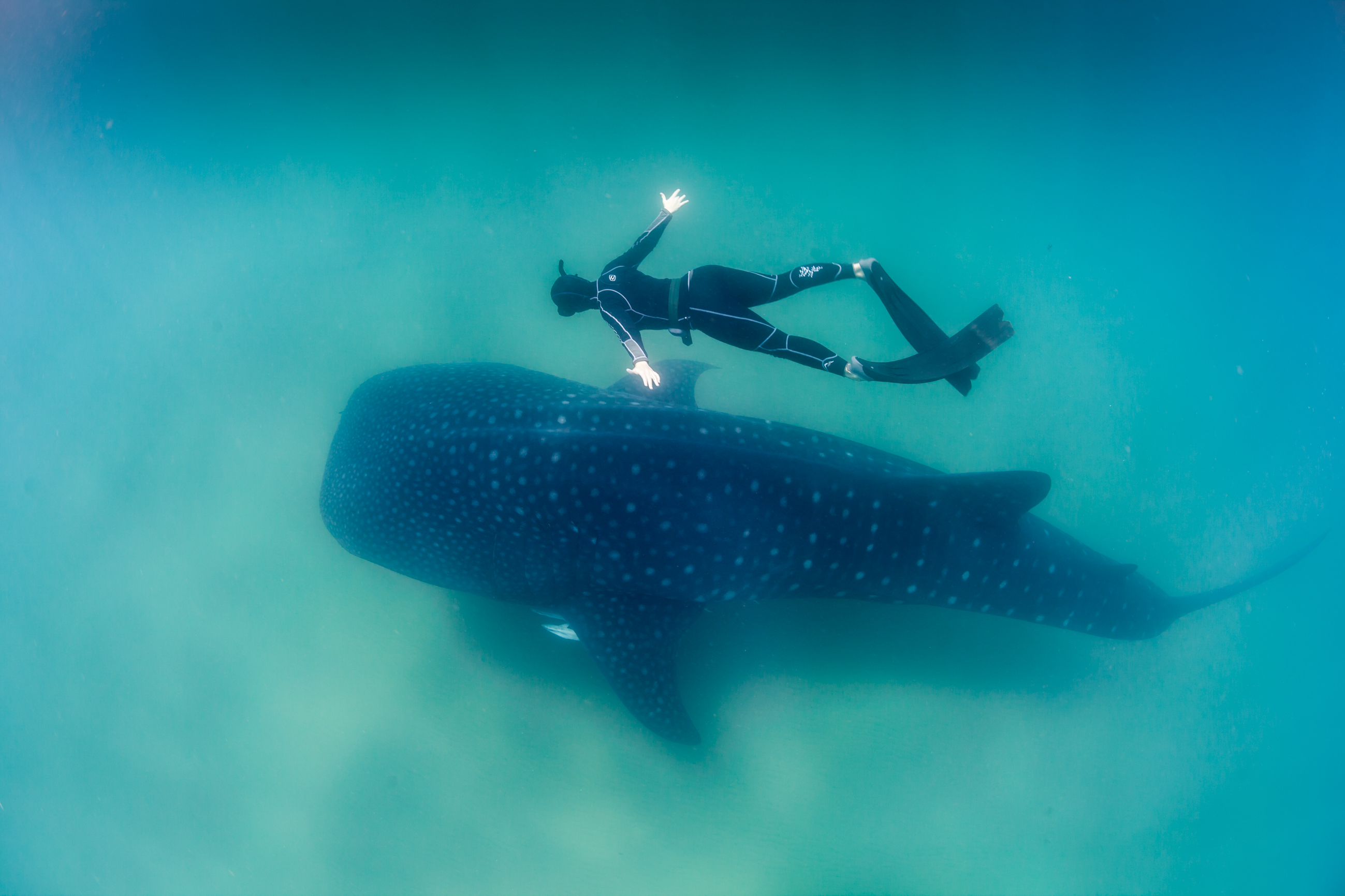 16 Incredible Freediving Equipment - Underwater360