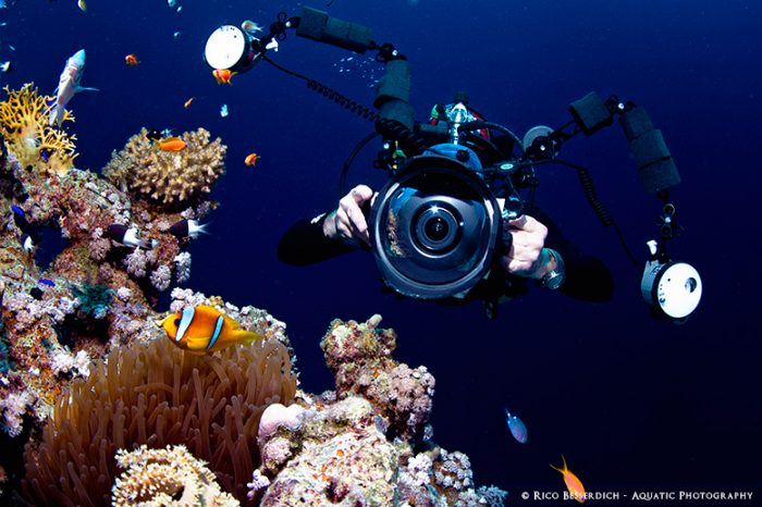 Developing the Correct Mindset for Underwater Photography (Part I)