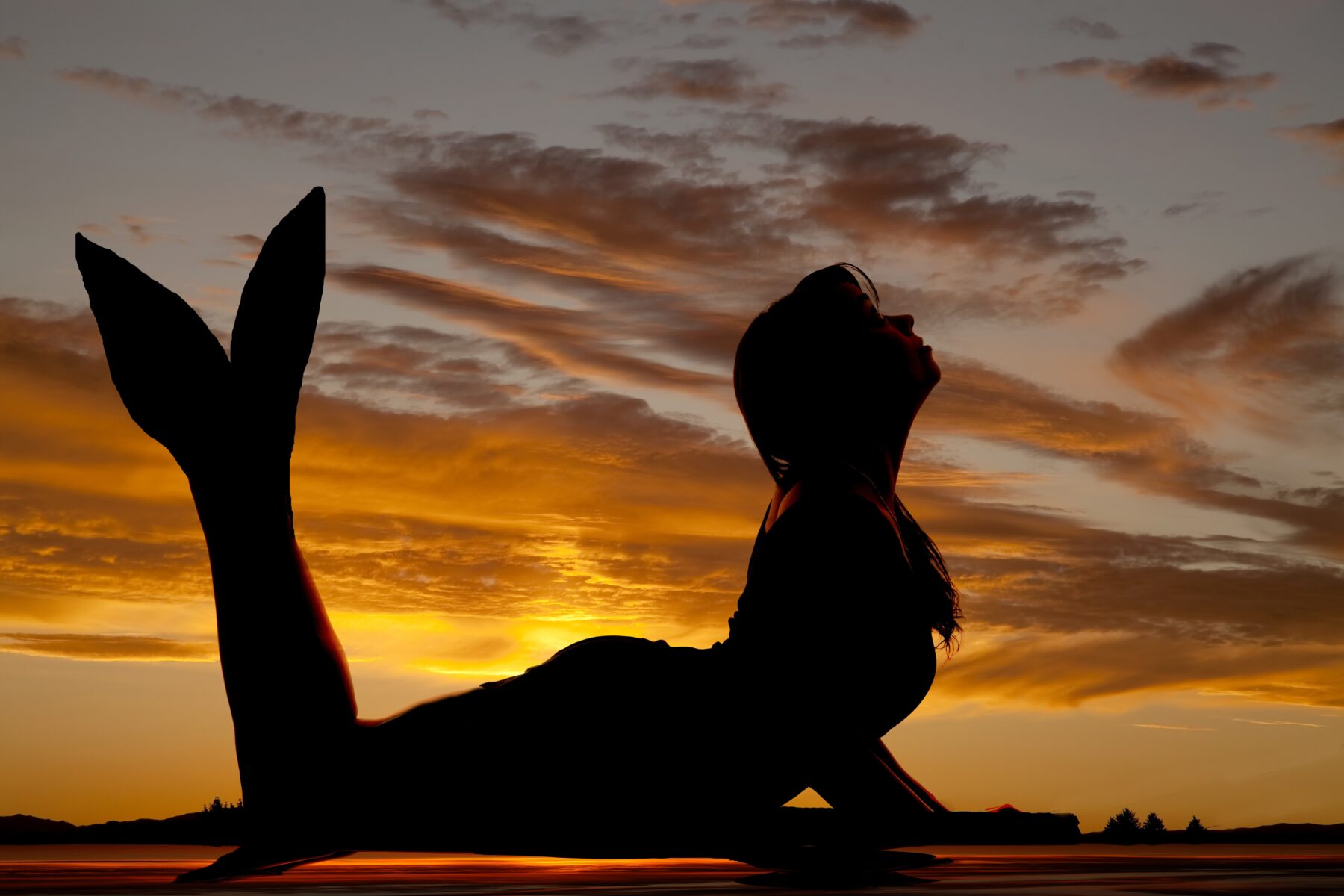 21483258 - a silhouette of a mermaid in the sunset.