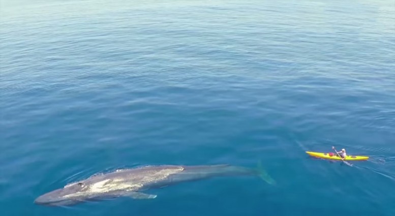 editScreen Shot 2016-08-10 at 3.56.00 pm copy