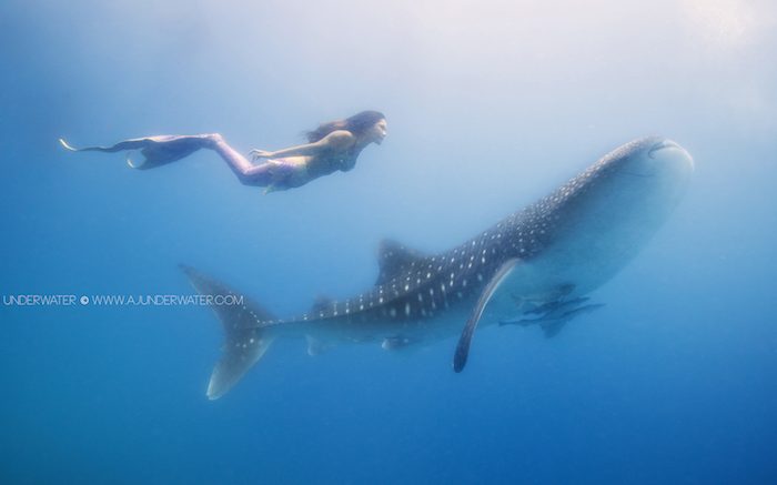 How to Photograph Mermaids Underwater