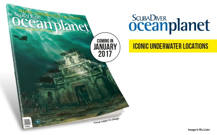5 Reasons Why Your Brand Needs to Be in the SD OCEAN PLANET Special Edition