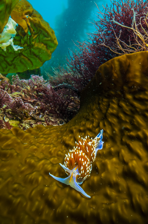 Admiration for the small