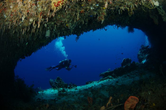 Dive the Wonders Below Indonesia’s Crystal Clear Waters