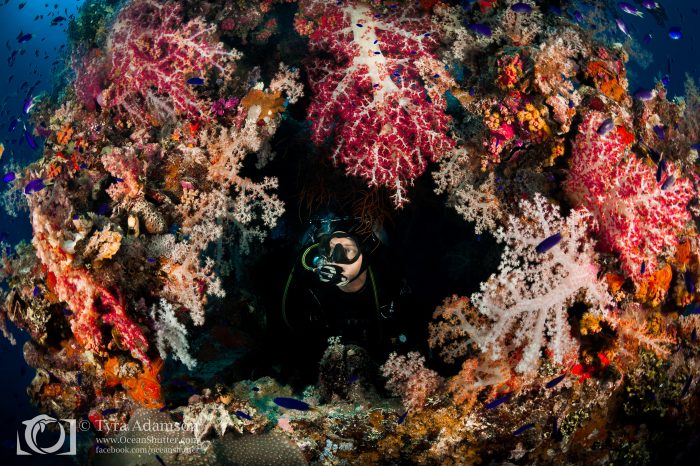 Underwater Photographer of the Week: Tyra & Dustin Adamson