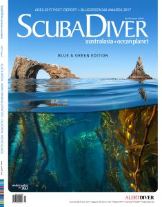 scuba diver cover 2/2017