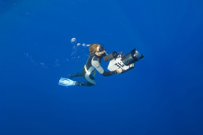 6 tips from a Professional Underwater Cameraman
