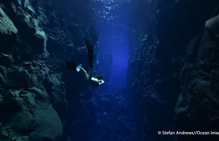 What it Feels Like: Cold-water Diving in Bare Skin