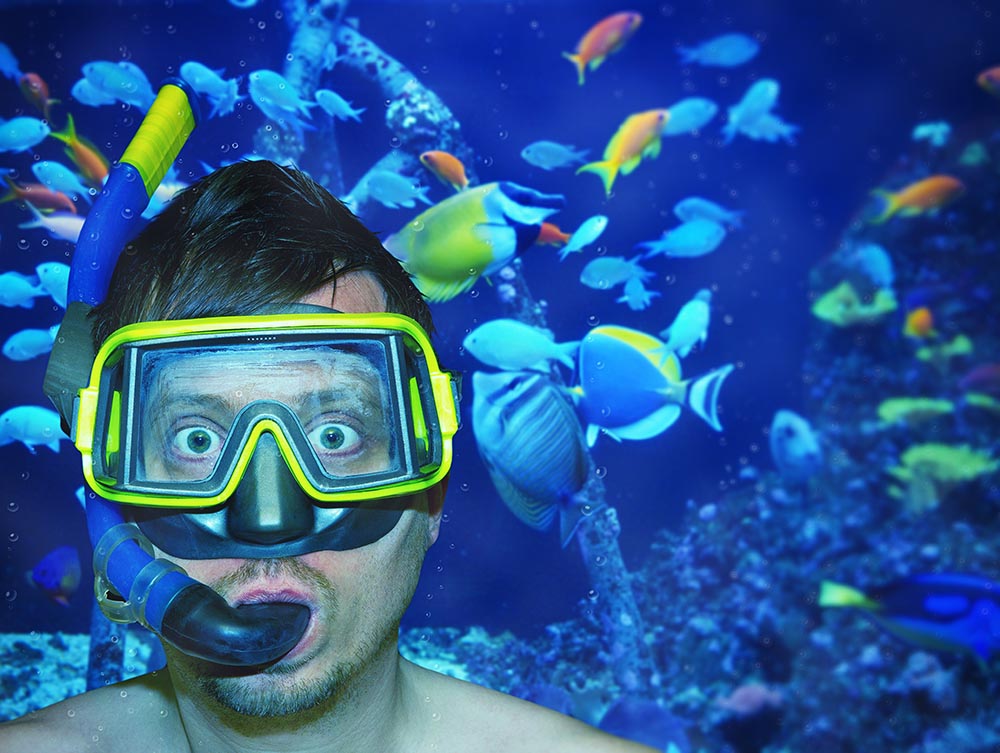 shutterstock_340845494