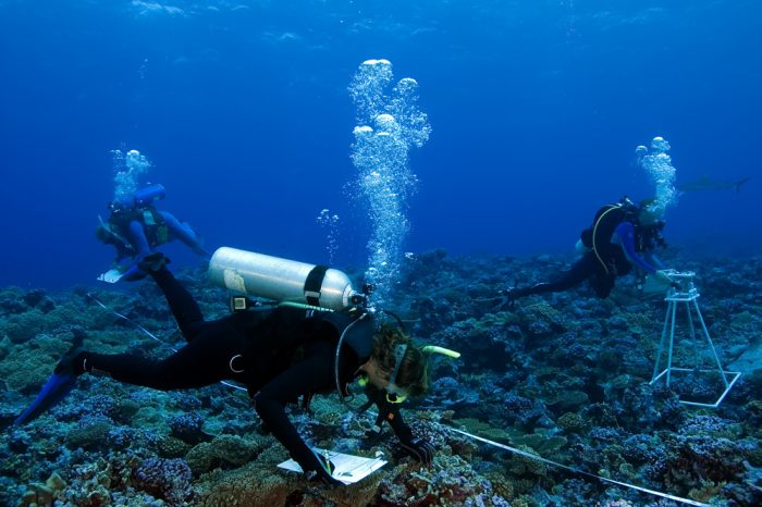 101 Outstanding People in Asia's Dive Industry: Scientists