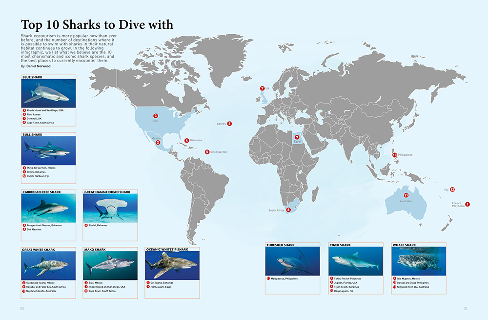 Top 10 Sharks to Dive with Underwater360
