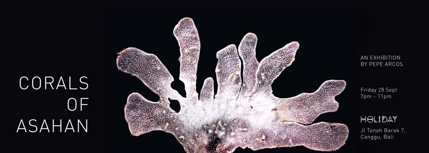 Corals_of_Asahan_edited_web