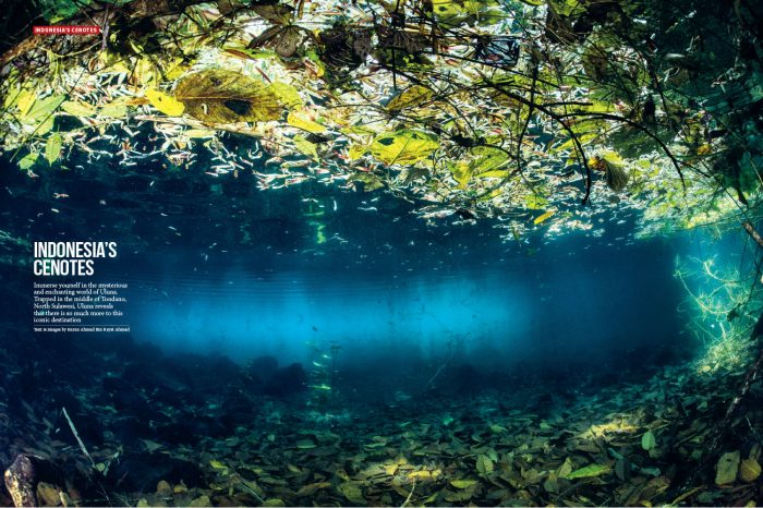 Indonesia's Cenotes