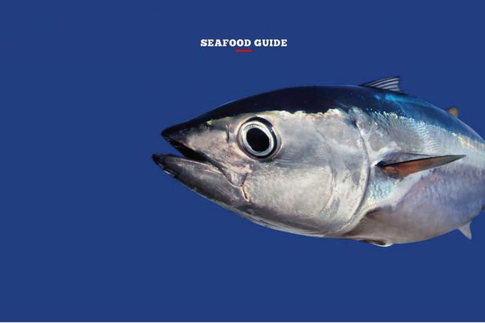 Seafood Guide: Mercury In Fish