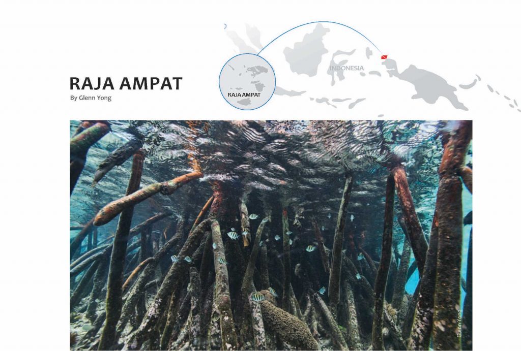 Marine Sanctuaries Around the World: Raja Ampat - Underwater360