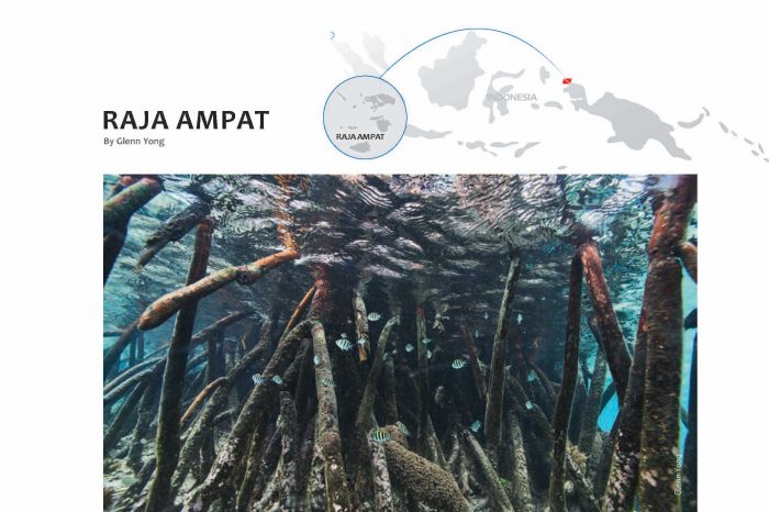 Marine Sanctuaries Around the World: Raja Ampat