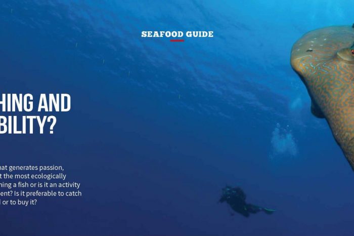 Seafood Guide: Spearfishing and Sustainability
