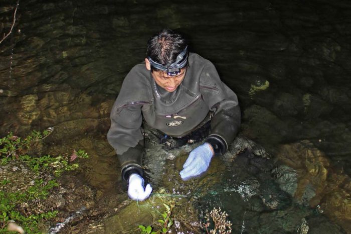 Keeping Water Giants Flourishing: Salamander Conservation in China
