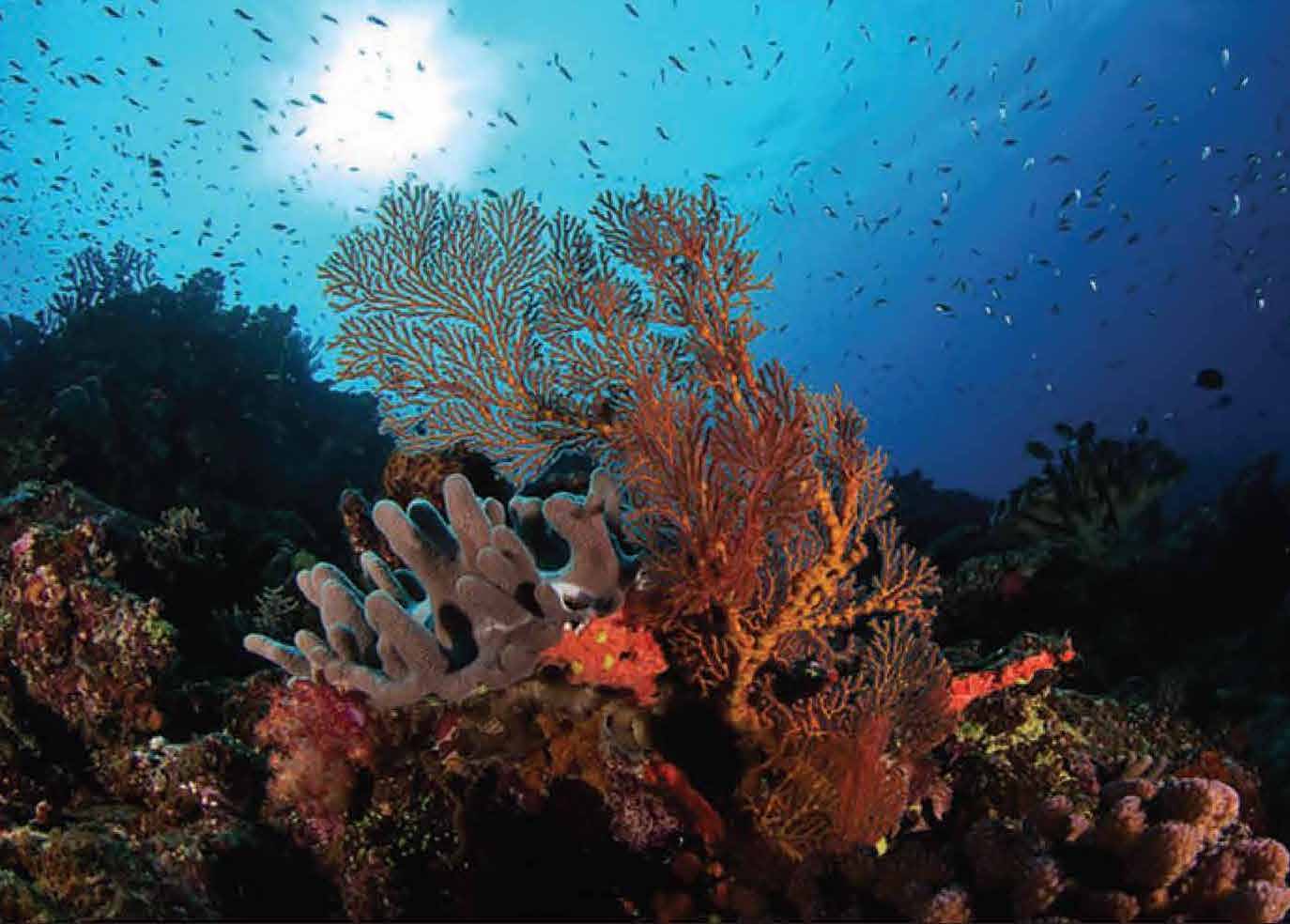 Canon_Powershot_Page_2