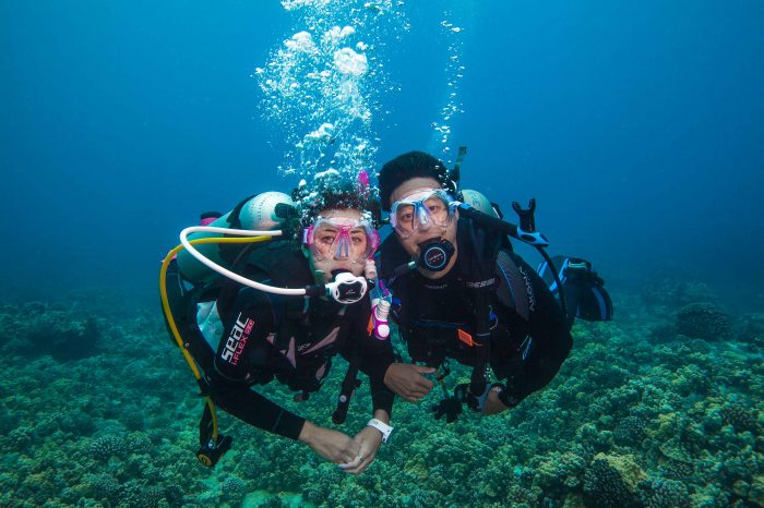 Club 25 Profile – Professional Association of Diving Instructors (PADI)