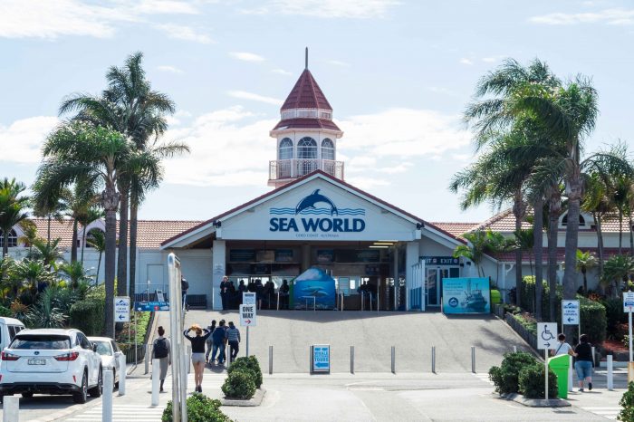 Sea World on Gold Coast Faces Petition to Ban it from Breeding Dolphins in Captivity