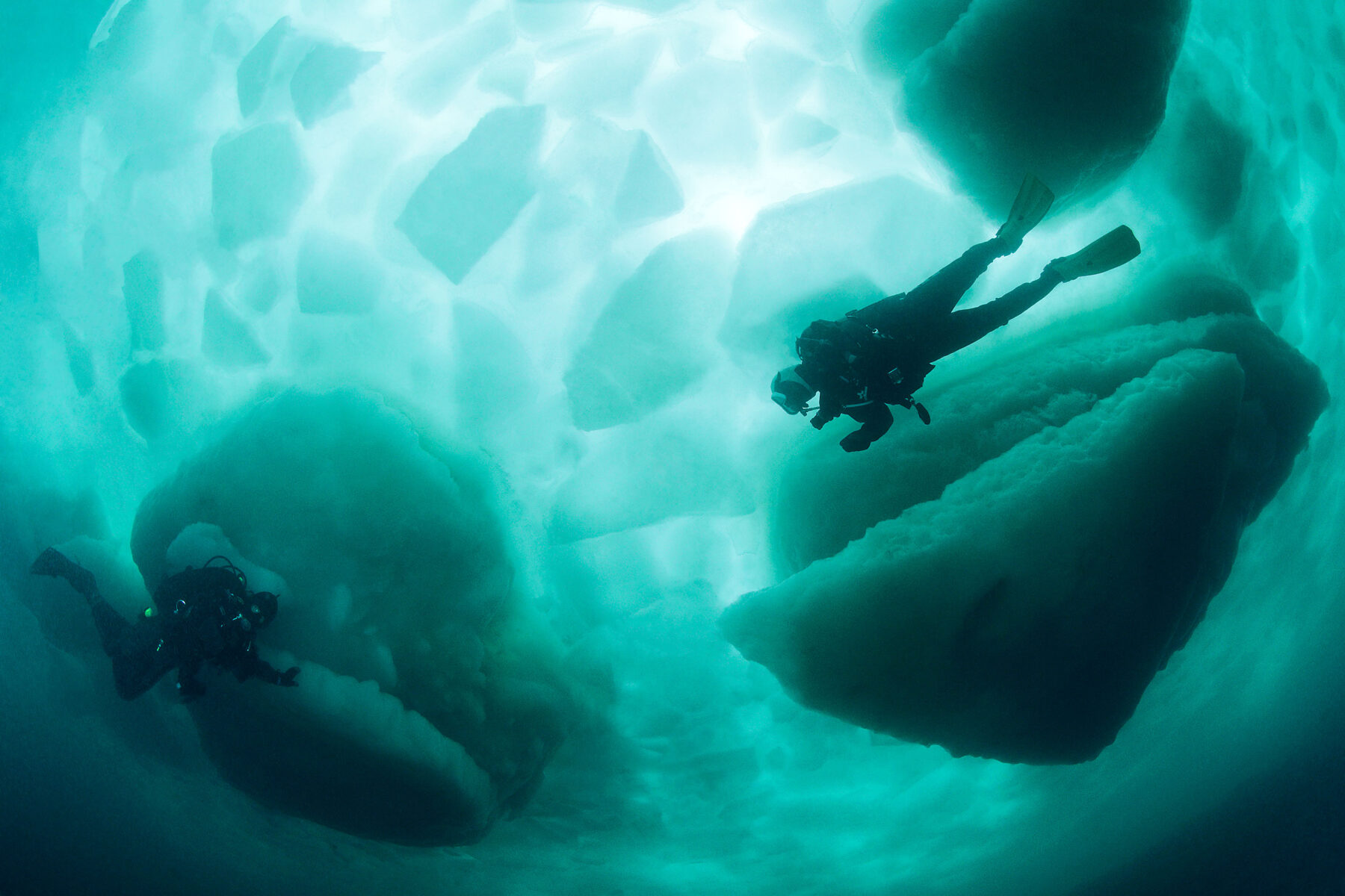 MG_6587BWantanabeAbcdA-copy_lowres