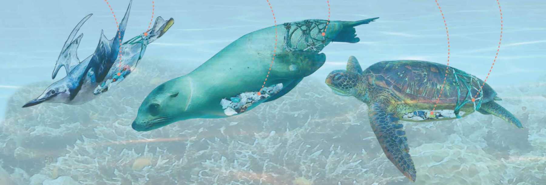 Suffocating-the-Seas_feature