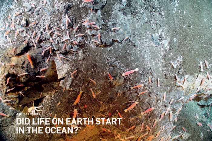 Scuba 101: Did Life on Earth Start in the Oceans?