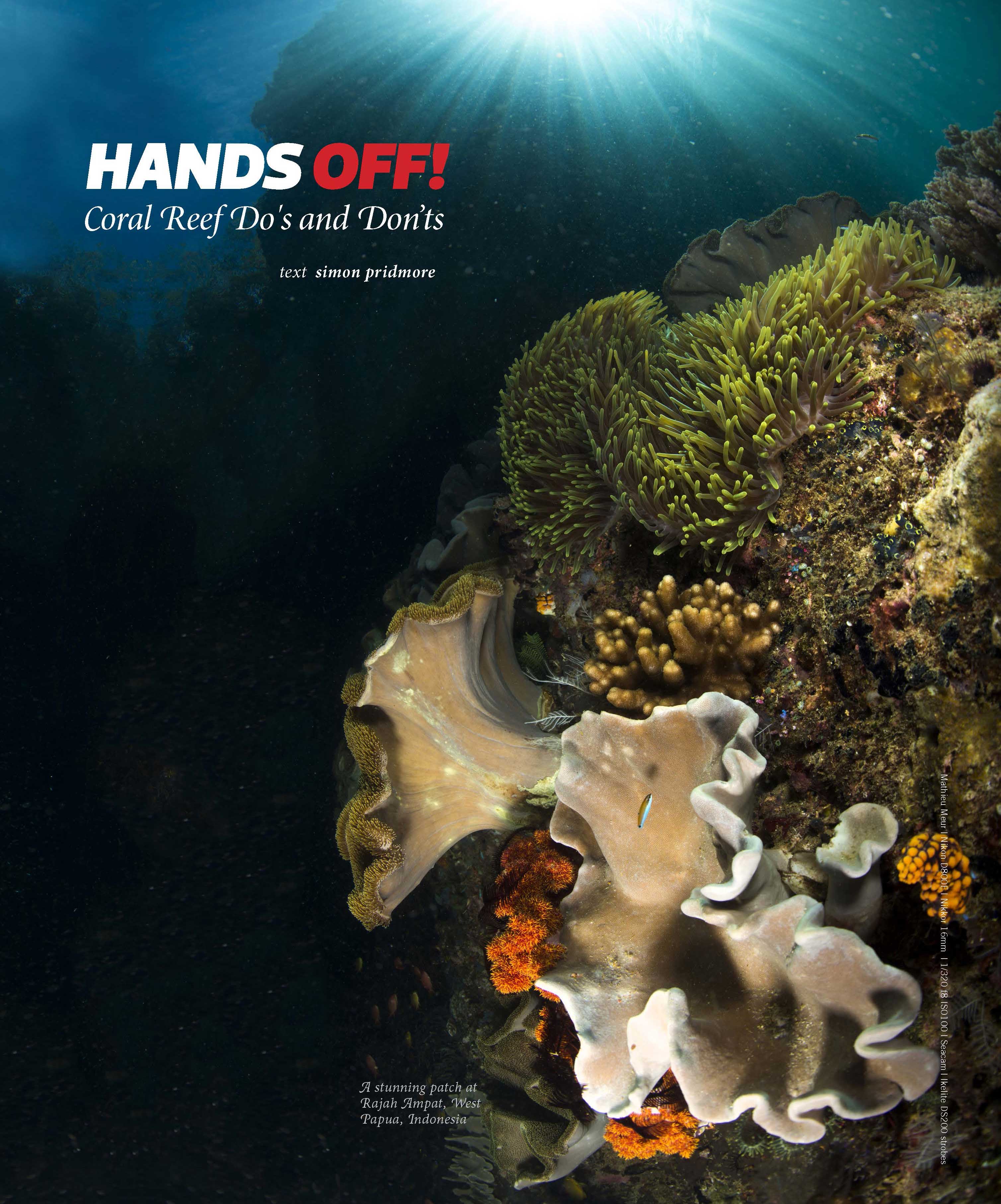 7 Coral Reefs Do's and Don'ts - Underwater360