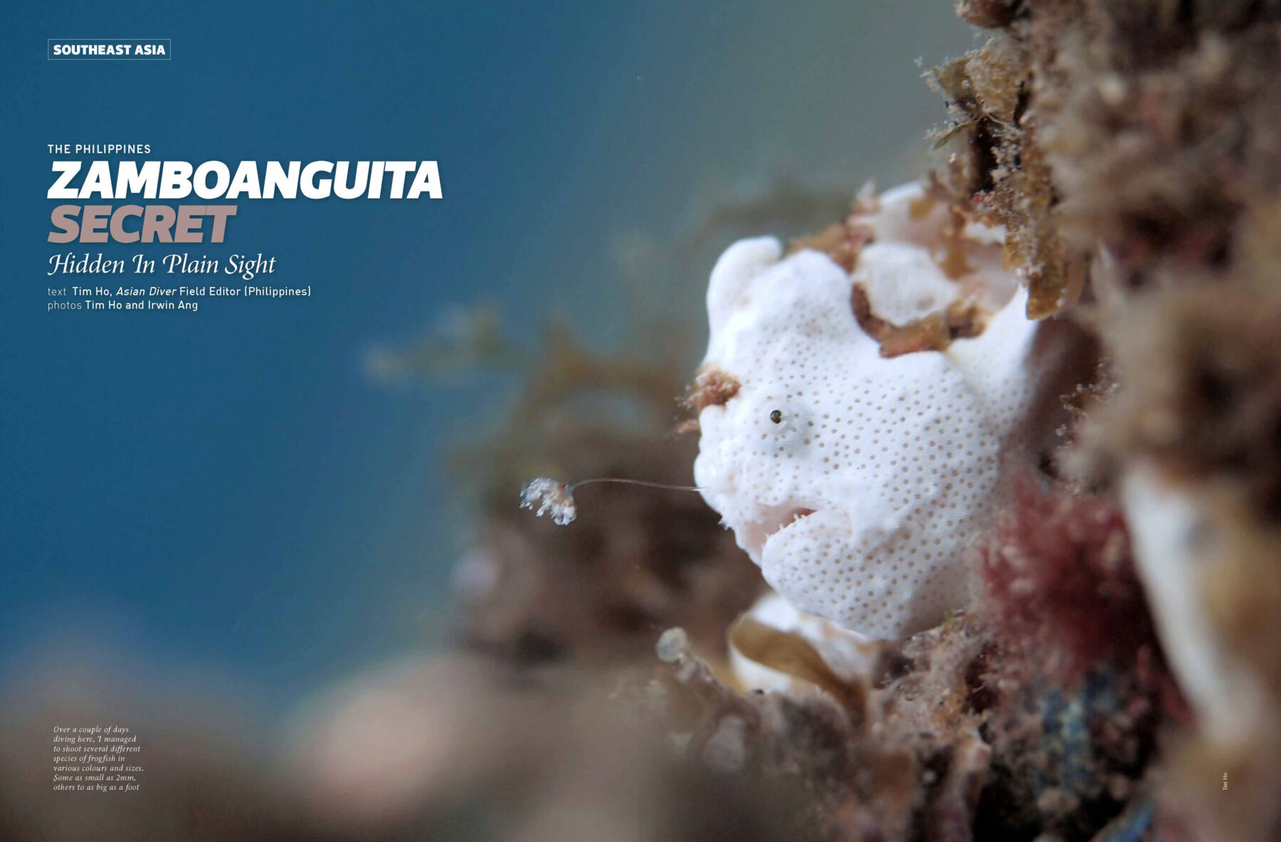 Zamboanguita