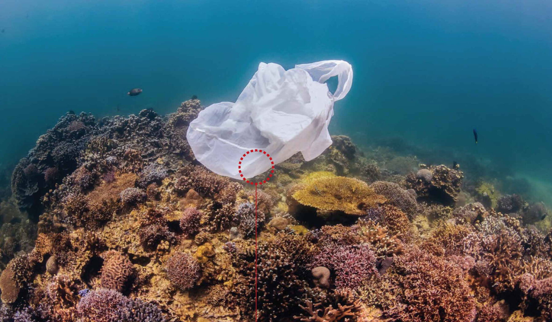 Sustaining_our_ocean_playground_Plastic