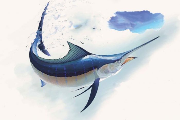 Endangered: The Blue Marlin