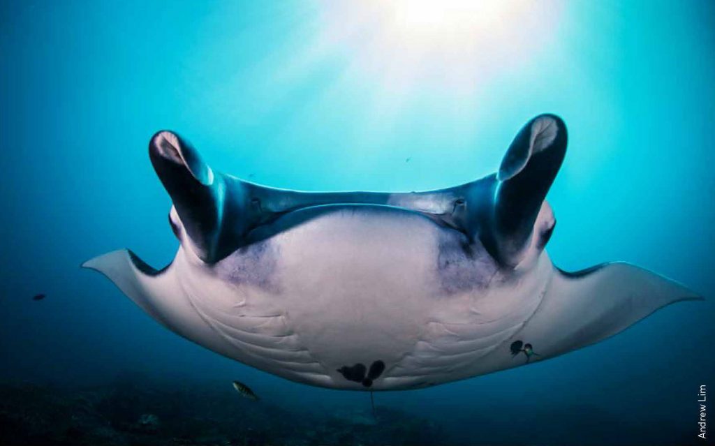 A_QuickGetaway_to_Bali_Pic1-1024x639