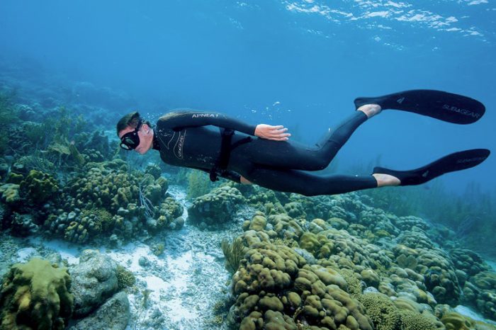 Your Essential Freediving Gear Guide
